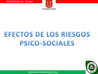 UNIVERSIDAD DEL TOLIMA

INGENIERIA AGROINDUSTRIAL

 