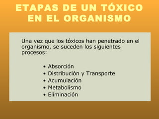 ETAPAS DE UN TÓXICO
  EN EL ORGANISMO

Una vez que los tóxicos han penetrado en el
organismo, se suceden los siguientes
procesos:

       •   Absorción
       •   Distribución y Transporte
       •   Acumulación
       •   Metabolismo
       •   Eliminación
 