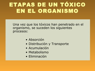 ETAPAS DE UN TÓXICO
  EN EL ORGANISMO

Una vez que los tóxicos han penetrado en el
organismo, se suceden los siguientes
procesos:

       •   Absorción
       •   Distribución y Transporte
       •   Acumulación
       •   Metabolismo
       •   Eliminación
 