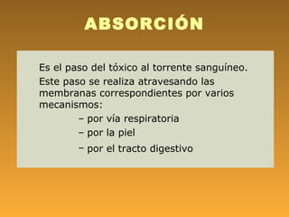 ABSORCIÓN

Es el paso del tóxico al torrente sanguíneo.
Este paso se realiza atravesando las
membranas correspondientes por varios
mecanismos:
        – por vía respiratoria
        – por la piel
        – por el tracto digestivo
 