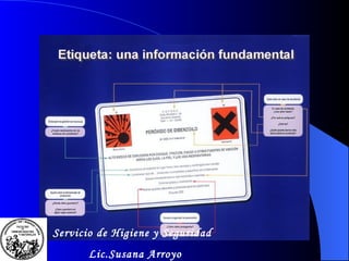 Servicio de Higiene y Seguridad Lic.Susana Arroyo 
