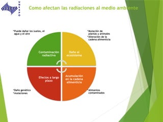 Como afectan las radiaciones al medio ambiente
•Alimentos
contaminados
•Daño genético
•mutaciones
•Mutación de
plantas y animales
•Alteración de la
cadena alimenticia
•Puede dañar los suelos, el
agua y el aire
Contaminación
radiactiva
Daño al
ecosistema
Acumulación
en la cadena
alimenticia
Efectos a largo
plazo
 