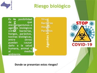 Riesgo biológico
Que
es
?
Es la posibilidad
de que
microorganismos o
agentes biológicos
(virus, bacterias,
hongos, parásitos,
toxinas biológicas,
entre otros)
puedan causar
daño a la salud
humana, animal o
al medio
ambiente.
Agentes
biológicos
Virus
Bacterias
Hongos
Parásitos
Donde se presentan estos riesgos?
 