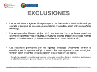 EXCLUSIONES
• Las exposiciones a agentes biológicos que no se derivan de la actividad laboral, por
ejemplo el contagio de infecciones respiratorias (resfriados, gripe) entre compañeros
de trabajo.
• Los ectoparásitos (ácaros, piojos, etc.), los insectos, los organismos superiores
(animales o plantas) y los productos, estructuras o restos procedentes de los mismos
(polen, polvo de madera, proteínas contenidas en la orina o la saliva, etc.)
• Las sustancias producidas por los agentes biológicos únicamente tendrán la
consideración de agentes biológicos cuando los microorganismos que las originan
también estén presentes y su propagación o reproducción sea posible.
Ejemplo, la exposición a micotoxinas producidas por hongos; en cambio, el uso de micotoxinas purificadas en
un laboratorio toxicológico quedaría incluido en el ámbito de los agentes químicos.
 