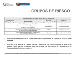 GRUPOS DE RIESGO
• Los agentes biológicos que no causan enfermedad por infección se consideran incluidos en el
grupo 1.
• Recordar que, aunque no causen infección, algunos de los microorganismos de este grupo
pueden causar alergias o producir sustancias tóxicas, con efectos que van desde irritaciones
hasta posibles efectos cancerígenos.
 