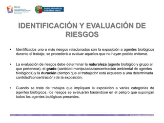 IDENTIFICACIÓN Y EVALUACIÓN DE
RIESGOS
• Identificados uno o más riesgos relacionados con la exposición a agentes biológicos
durante el trabajo, se procederá a evaluar aquellos que no hayan podido evitarse.
• La evaluación de riesgos debe determinar la naturaleza (agente biológico y grupo al
que pertenece), el grado (cantidad manipulada/concentración ambiental de agentes
biológicos) y la duración (tiempo que el trabajador está expuesto a una determinada
cantidad/concentración) de la exposición.
• Cuando se trate de trabajos que impliquen la exposición a varias categorías de
agentes biológicos, los riesgos se evaluarán basándose en el peligro que supongan
todos los agentes biológicos presentes.
 