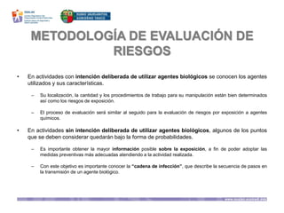 METODOLOGÍA DE EVALUACIÓN DE
RIESGOS
• En actividades con intención deliberada de utilizar agentes biológicos se conocen los agentes
utilizados y sus características.
– Su localización, la cantidad y los procedimientos de trabajo para su manipulación están bien determinados
así como los riesgos de exposición.
– El proceso de evaluación será similar al seguido para la evaluación de riesgos por exposición a agentes
químicos.
• En actividades sin intención deliberada de utilizar agentes biológicos, algunos de los puntos
que se deben considerar quedarán bajo la forma de probabilidades.
– Es importante obtener la mayor información posible sobre la exposición, a fin de poder adoptar las
medidas preventivas más adecuadas atendiendo a la actividad realizada.
– Con este objetivo es importante conocer la “cadena de infección”, que describe la secuencia de pasos en
la transmisión de un agente biológico.
 
