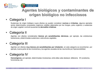 Agentes biológicos y contaminantes de
origen biológico no infecciosos
• Categoría I
Sustancias de origen biológico cuyos efectos se pueden considerar nocivos o irritantes, algunos ejemplos
serían determinados compuestos orgánicos volátiles elaborados por los hongos, polvo orgánico o sustancias
de origen vegetal o animal causantes de dermatitis irritativas.
• Categoría II
Agentes con efectos considerados tóxicos y/o sensibilizantes dérmicos, por ejemplo, las endotoxinas
bacterianas y determinadas sustancias o estructuras vegetales.
• Categoría III
Agentes con efectos muy tóxicos y/o sensibilizantes por inhalación, en esta categoría se encontrarían, por
ejemplo, buena parte de las micotoxinas y los agentes causales de las neumonitis por hipersensibilidad.
• Categoría IV
Cancerígenos, por ejemplo, determinadas micotoxinas, entre ellas cabe destacar: aflatoxina B1,ocratoxina,
fumonisinas, etc.
 