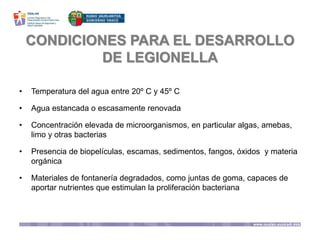 CONDICIONES PARA EL DESARROLLO
DE LEGIONELLA
• Temperatura del agua entre 20º C y 45º C
• Agua estancada o escasamente renovada
• Concentración elevada de microorganismos, en particular algas, amebas,
limo y otras bacterias
• Presencia de biopelículas, escamas, sedimentos, fangos, óxidos y materia
orgánica
• Materiales de fontanería degradados, como juntas de goma, capaces de
aportar nutrientes que estimulan la proliferación bacteriana
 