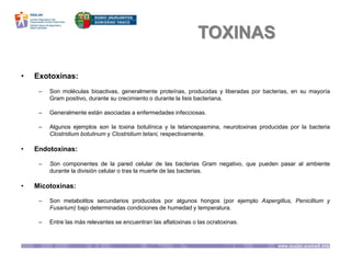 TOXINAS
• Exotoxinas:
– Son moléculas bioactivas, generalmente proteínas, producidas y liberadas por bacterias, en su mayoría
Gram positivo, durante su crecimiento o durante la lisis bacteriana.
– Generalmente están asociadas a enfermedades infecciosas.
– Algunos ejemplos son la toxina botulínica y la tetanospasmina, neurotoxinas producidas por la bacteria
Clostridium botulinum y Clostridium tetani, respectivamente.
• Endotoxinas:
– Son componentes de la pared celular de las bacterias Gram negativo, que pueden pasar al ambiente
durante la división celular o tras la muerte de las bacterias.
• Micotoxinas:
– Son metabolitos secundarios producidos por algunos hongos (por ejemplo Aspergillus, Penicillium y
Fusarium) bajo determinadas condiciones de humedad y temperatura.
– Entre las más relevantes se encuentran las aflatoxinas o las ocratoxinas.
 
