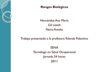 Riesgos Biológicos Hernández Ana María Gil Lizeth Neira Amelia Trabajo presentado a la profesora Yolanda Palomino SENA Tecnólogo en Salud Ocupacional Jornada 24 horas 2011 
