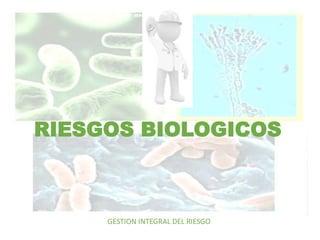 RIESGOS BIOLOGICOS
GESTION INTEGRAL DEL RIESGO
 