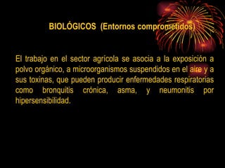 E l trabajo en el sector agrícola se asocia a la exposición a polvo orgánico, a microorganismos suspendidos en el aire y a sus toxinas, que pueden producir enfermedades respiratorias como bronquitis crónica, asma, y neumonitis por hipersensibilidad.  