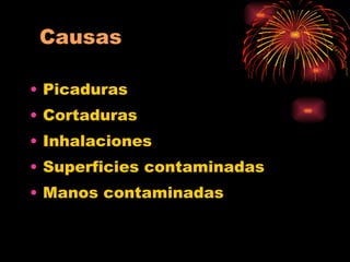 Picaduras Cortaduras Inhalaciones Superficies contaminadas Manos contaminadas 