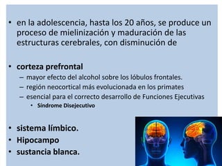 • en la adolescencia, hasta los 20 años, se produce un
proceso de mielinización y maduración de las
estructuras cerebrales, con disminución de
• corteza prefrontal
– mayor efecto del alcohol sobre los lóbulos frontales.
– región neocortical más evolucionada en los primates
– esencial para el correcto desarrollo de Funciones Ejecutivas
• Síndrome Disejecutivo
• sistema límbico.
• Hipocampo
• sustancia blanca.
 