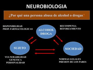 NEUROBIOLOGIA
¿Por qué una persona abusa de alcohol o drogas?
SUJETO
ALCOHOL
DROGA
SOCIEDAD
DISPONIBILIDAD
PROP. FARMACOLOGICAS
RECOMPENSA
REFORZAMIENTO
VULNERABILIDAD
GENETICA
PERSONALIDAD
NORMAS LEGALES
PRESION DE LOS PARES
 