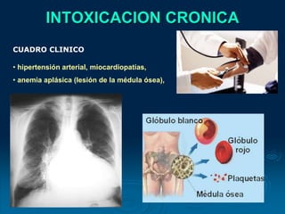 INTOXICACION CRONICA
CUADRO CLINICO
• hipertensión arterial, miocardiopatías,
• anemia aplásica (lesión de la médula ósea),
 