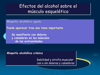 Efectos del alcohol sobre el
músculo esquelético
Miopatía alcohólica aguda.
Puede aparecer tras una toma importante
Se manifiesta con dolores
y calambres en los músculos
de las extremidades
Miopatía alcohólica crónica
Debilidad y atrofia muscular
con o sin dolores y calambres
 