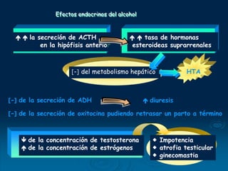 Efectos endocrinos del alcohol
  la secreción de ACTH
en la hipófisis anterior
  tasa de hormonas
esteroideas suprarrenales
HTA[-] del metabolismo hepático
[-] de la secreción de ADH  diuresis
[-] de la secreción de oxitocina pudiendo retrasar un parto a término
 de la concentración de testosterona
 de la concentración de estrógenos
 Impotencia
 atrofia testicular
 ginecomastia
 