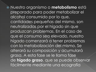 Nuestro organismo o metabolismo está preparado para poder metabolizar el alcohol consumido por lo que, cantidades pequeñas del mismo, son neutralizadas por el hígado sin que produzcan problemas. En el caso de que el consumo sea elevado, nuestro hígado comenzará a tener problemas con la metabolización del mismo. Se alterará su composición y acumulará grasa. A esta fase se le llama fase de hígado graso, que se puede observar fácilmente mediante una ecografía