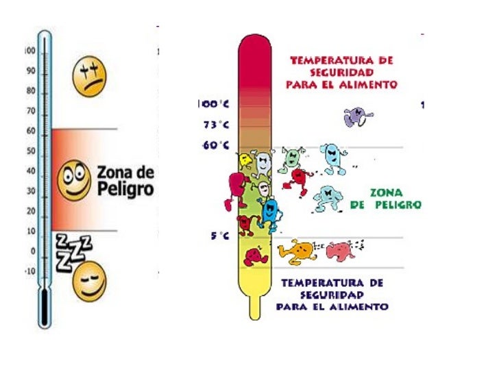 Riesgos e intoxicaciones alimentarias más comunes
