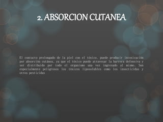 2. ABSORCION CUTANEA 
El contacto prolongado de la piel con el tóxico, puede producir intoxicación 
por absorción cutánea, ya que el tóxico puede atravesar la barrera defensiva y 
ser distribuido por todo el organismo una vez ingresado al mismo. Son 
especialmente peligrosos los tóxicos liposolubles como los insecticidas y 
otros pesticidas 
 