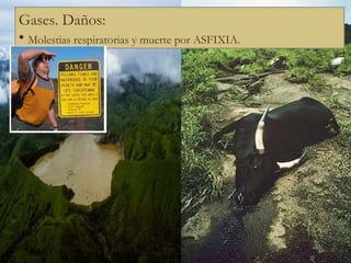 Gases. Daños: Molestias respiratorias y muerte por ASFIXIA. 