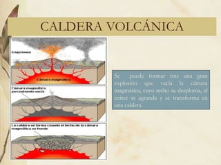 CALDERA VOLCÁNICA Se  puede formar tras una gran explosión que vacía la cámara magmática, cuyo techo se desploma, el cráter se agranda y se transforma en una caldera. 