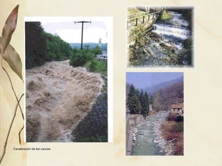 Canalización de los cauces 