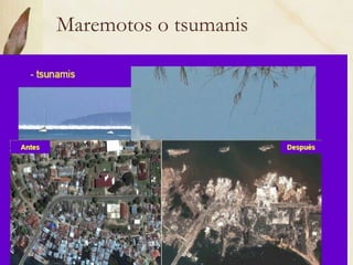 Maremotos o tsumanis 