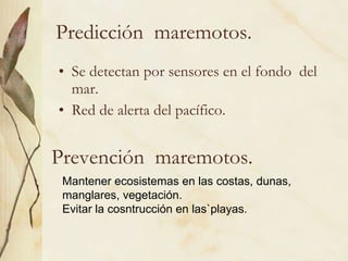 Predicción  maremotos. Se detectan por sensores en el fondo  del mar. Red de alerta del pacífico. Prevención  maremotos. Mantener ecosistemas en las costas, dunas, manglares, vegetación. Evitar la cosntrucción en las`playas. 