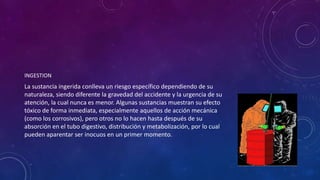 INGESTION 
La sustancia ingerida conlleva un riesgo específico dependiendo de su 
naturaleza, siendo diferente la gravedad del accidente y la urgencia de su 
atención, la cual nunca es menor. Algunas sustancias muestran su efecto 
tóxico de forma inmediata, especialmente aquellos de acción mecánica 
(como los corrosivos), pero otros no lo hacen hasta después de su 
absorción en el tubo digestivo, distribución y metabolización, por lo cual 
pueden aparentar ser inocuos en un primer momento. 
 