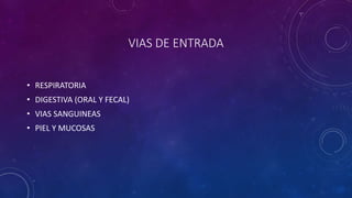 VIAS DE ENTRADA 
• RESPIRATORIA 
• DIGESTIVA (ORAL Y FECAL) 
• VIAS SANGUINEAS 
• PIEL Y MUCOSAS 
 