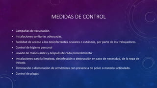 MEDIDAS DE CONTROL 
• Campañas de vacunación. 
• Instalaciones sanitarias adecuadas. 
• Facilidad de acceso a los desinfectantes oculares o cutáneos, por parte de los trabajadores. 
• Control de higiene personal 
• Lavado de manos antes y después de cada procedimiento 
• Instalaciones para la limpieza, desinfección o destrucción en caso de necesidad, de la ropa de 
trabajo. 
• Eliminación o disminución de atmósferas con presencia de polvo o material articulado. 
• Control de plagas 
 