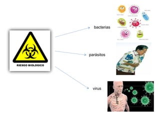 bacterias
parásitos
virus
 