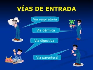 VÍAS DE ENTRADA Vía respiratoria Vía dérmica Vía digestiva Vía parenteral 
