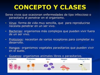 CONCEPTO Y CLASES Seres vivos que ocasionan enfermedades de tipo infeccioso o parasitario al penetrar en el organismo. Virus : forma de vida muy sencilla, que  para reproducirse necesita penetrar en un ser vivo. Bacterias : organismos más complejos que pueden vivir fuera de un ser vivo. Protozoos : necesitan de varios receptores para completar su desarrollo. Hongos : organismos vegetales parasitarios que pueden vivir en el suelo. Gusanos : organismos animales libres o parasitarios. 