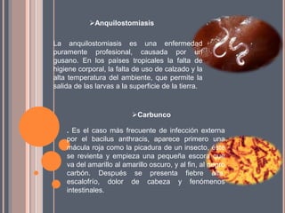 Riesgos laborales | PPTX