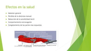 Efectos en la salud
 Malestar general
 Perdida de la destreza manual
 Reducción de la sensibilidad táctil
 Comportamiento extravagante
 Congelamiento de las partes mas expuestas
 