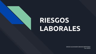 RIESGOS
LABORALES
SERGIO ALEXANDER OBANDO BERMÚDEZ
Cod: 28923
 