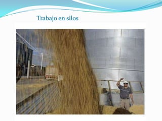 Trabajo en silos
 