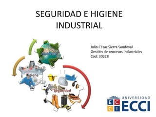 SEGURIDAD E HIGIENE
INDUSTRIAL
Julio César Sierra Sandoval
Gestión de procesos Industriales
Cód: 30228
 