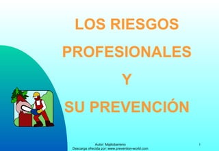LOS RIESGOS PROFESIONALES Y SU PREVENCIÓN 