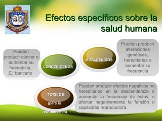 Efectos específicos sobre laEfectos específicos sobre la
salud humanasalud humana
Pueden
producir cáncer o
aumentar su
frecuencia.
Ej: benceno
Pueden producir
alteraciones
genéticas,
hereditarias o
aumentar su
frecuencia
Pueden producir efectos negativos no
hereditarios en la descendencia o
aumentar la frecuencia de éstos, o
afectar negativamente la función o
capacidad reproductora.
CANCERÍGENOSCANCERÍGENOS
MUTAGÉNICOSMUTAGÉNICOS
TOXICOSTOXICOS
(para la(para la
reproduccion)reproduccion)
 