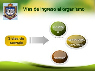 Vías de ingreso al organismoVías de ingreso al organismo
CUTÁNEACUTÁNEA
OO
DÉRMICADÉRMICA
RESPIRATORIA ORESPIRATORIA O
INHALATORIAINHALATORIA
DIGESTIVODIGESTIVO
3 vías de3 vías de
entradaentrada
 