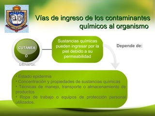 Vías de ingreso de los contaminantesVías de ingreso de los contaminantes
químicos al organismoquímicos al organismo
CUTÁNEACUTÁNEA
OO
DÉRMICADÉRMICA
Sustancias químicas
pueden ingresar por la
piel debido a su
permeabilidad
• Estado epidermis
• Concentración y propiedades de sustancias químicas
• Técnicas de manejo, transporte o almacenamiento de
productos
• Ropa de trabajo o equipos de protección personal
utilizados.
Depende de:
 
