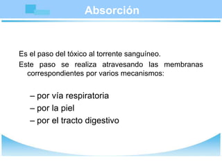 Absorción
Es el paso del tóxico al torrente sanguíneo.
Este paso se realiza atravesando las membranas
correspondientes por varios mecanismos:
– por vía respiratoria
– por la piel
– por el tracto digestivo
 
