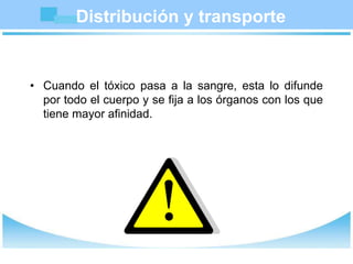 Distribución y transporte
• Cuando el tóxico pasa a la sangre, esta lo difunde
por todo el cuerpo y se fija a los órganos con los que
tiene mayor afinidad.
 