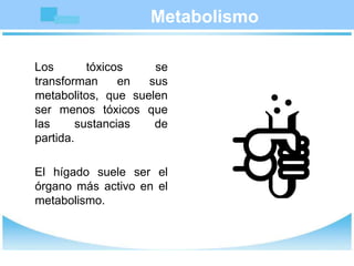 Metabolismo
Los tóxicos se
transforman en sus
metabolitos, que suelen
ser menos tóxicos que
las sustancias de
partida.
El hígado suele ser el
órgano más activo en el
metabolismo.
 