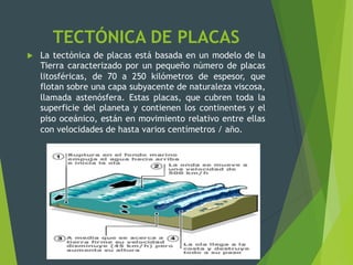 TECTÓNICA DE PLACAS
u  La tectónica de placas está basada en un modelo de la
Tierra caracterizado por un pequeño número de placas
litosféricas, de 70 a 250 kilómetros de espesor, que
flotan sobre una capa subyacente de naturaleza viscosa,
llamada astenósfera. Estas placas, que cubren toda la
superficie del planeta y contienen los continentes y el
piso oceánico, están en movimiento relativo entre ellas
con velocidades de hasta varios centímetros / año.
 